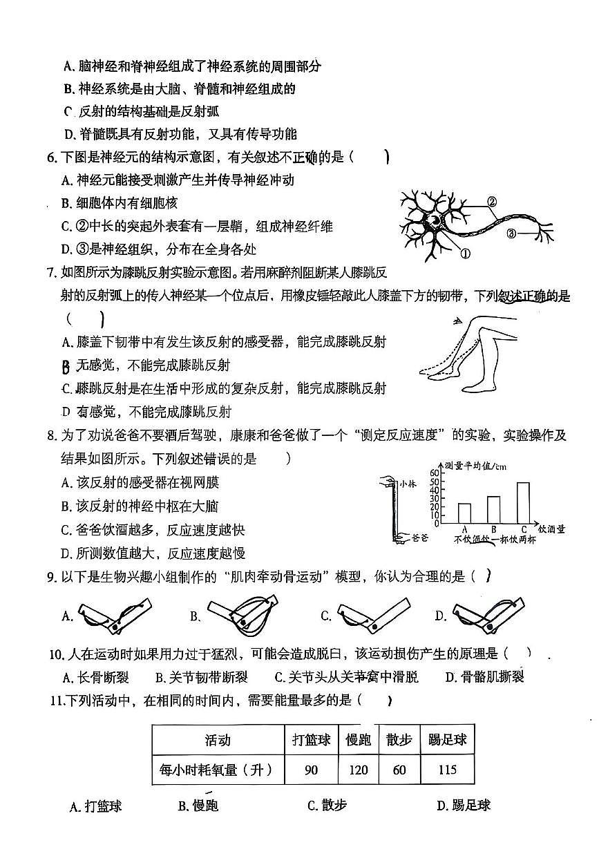 河北省保定市安国市2025-2026学年八年级上学期11月期中生物试题第2页