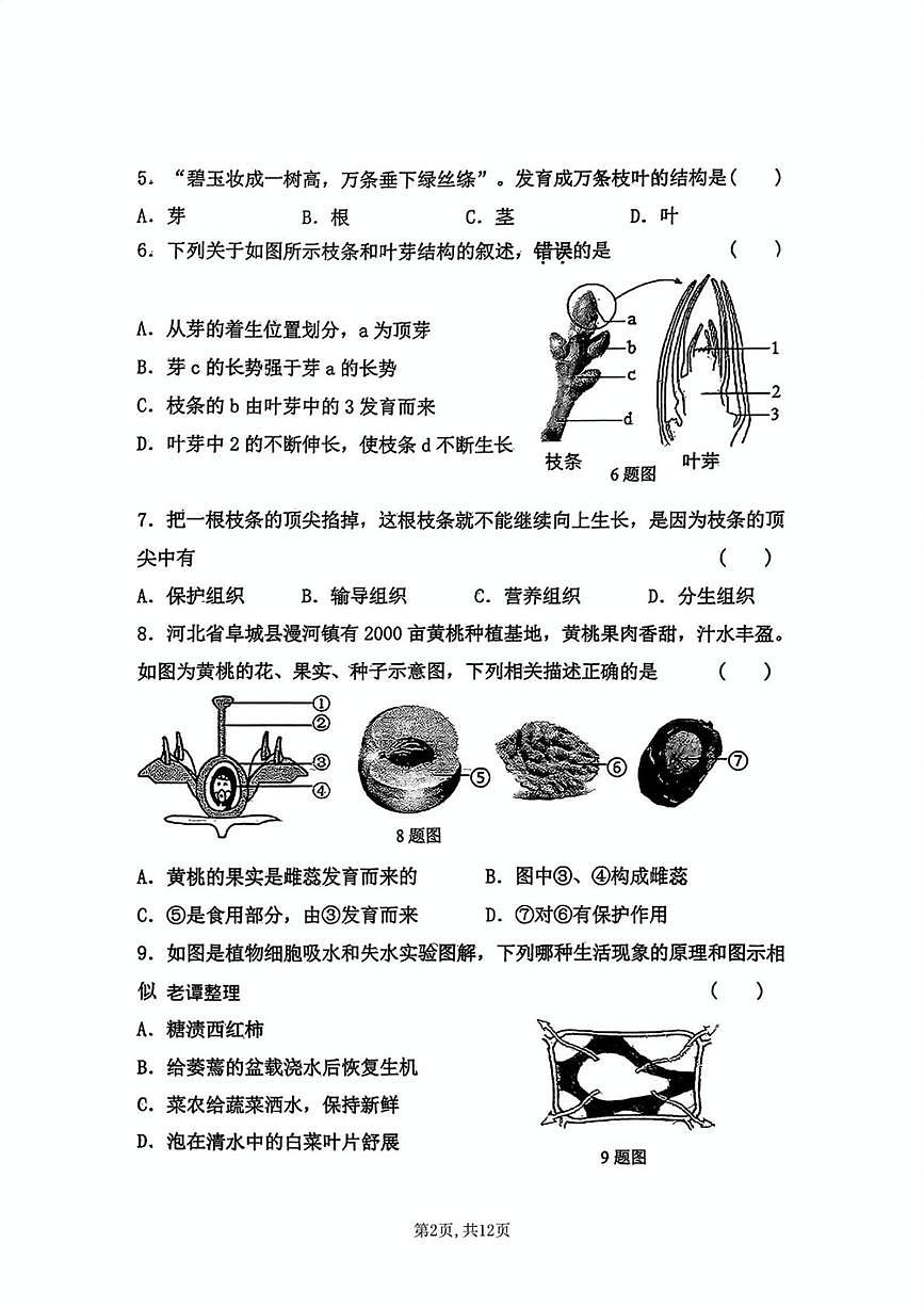 河北省石家庄市外国语教育集团2025-2026学年八年级上学期期中考试生物试卷第2页