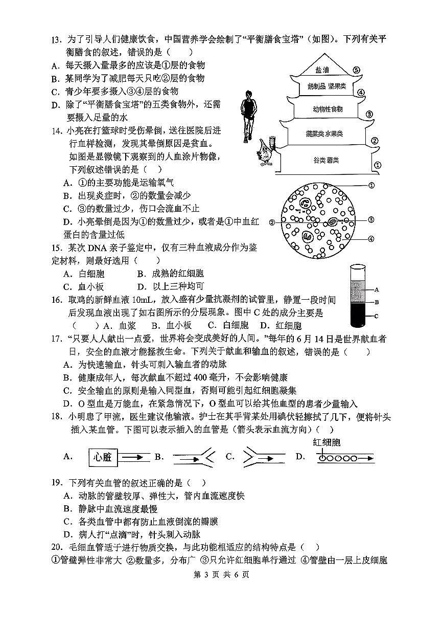 江苏省徐州市 泉山区部分学校2025-2026学年八年级上学期期中生物试卷第3页