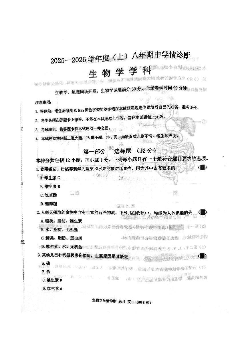 辽宁省沈阳市大东区2025-2026学年八年级上学期期中生物试卷（无答案）第1页