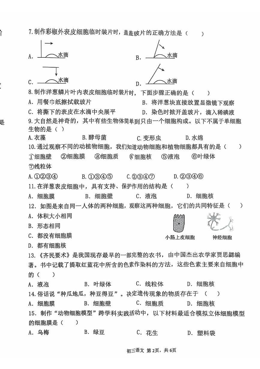 河北省石家庄市桥西区四十一中，十中2025-2026学年七年级上学期11月期中生物试题第2页