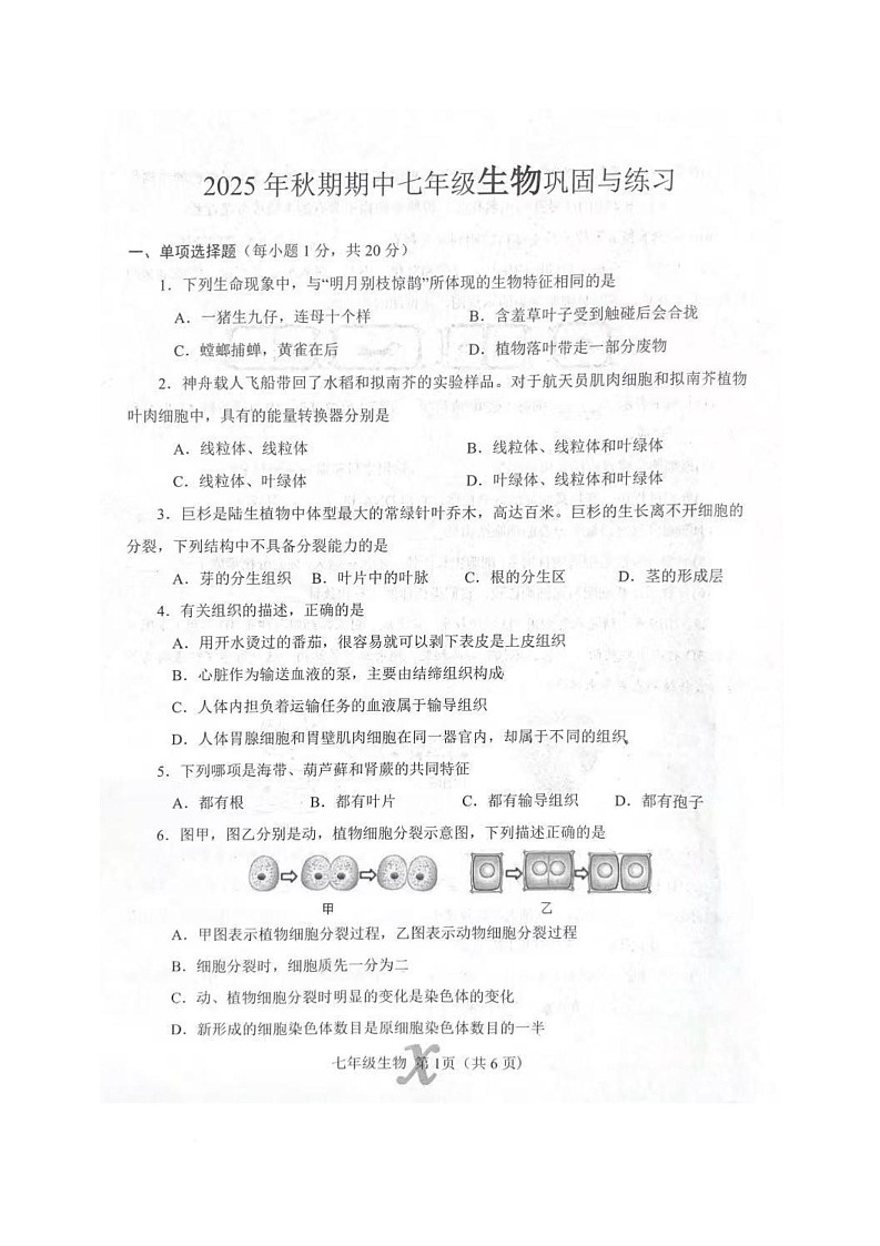 河南省南阳市内乡县2025-2026学年七年级上学期11月期中生物试题第1页