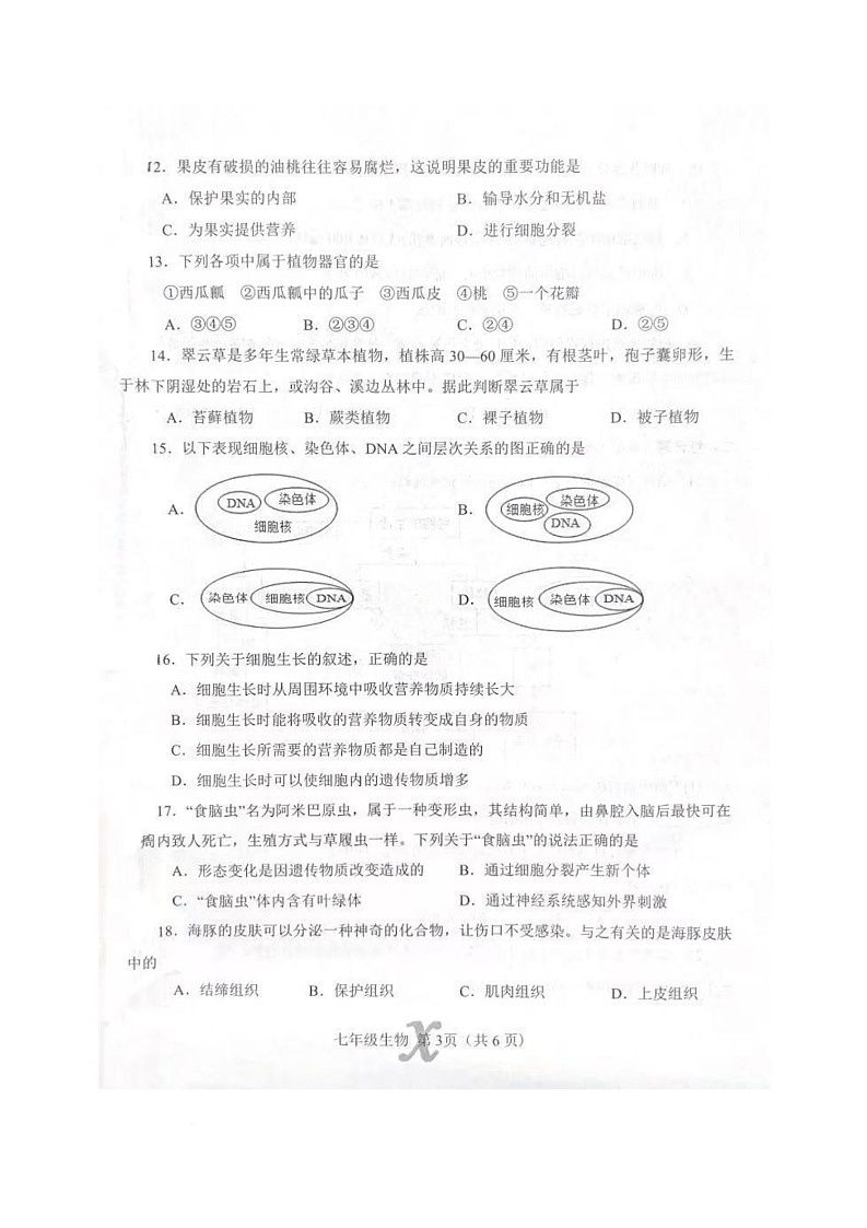 河南省南阳市内乡县2025-2026学年七年级上学期11月期中生物试题第3页