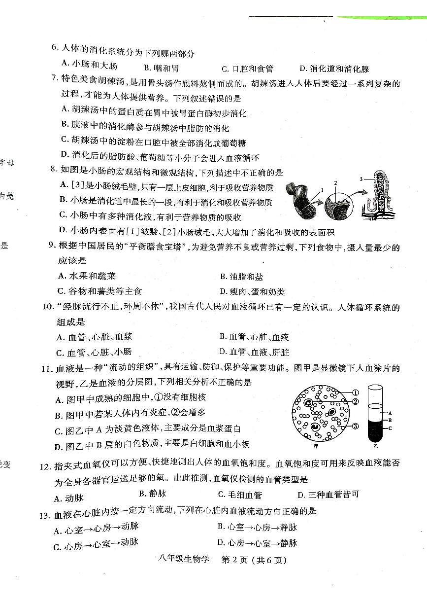 河南省洛阳市伊川县2025-2026学年八年级上学期11月期中生物试题第2页