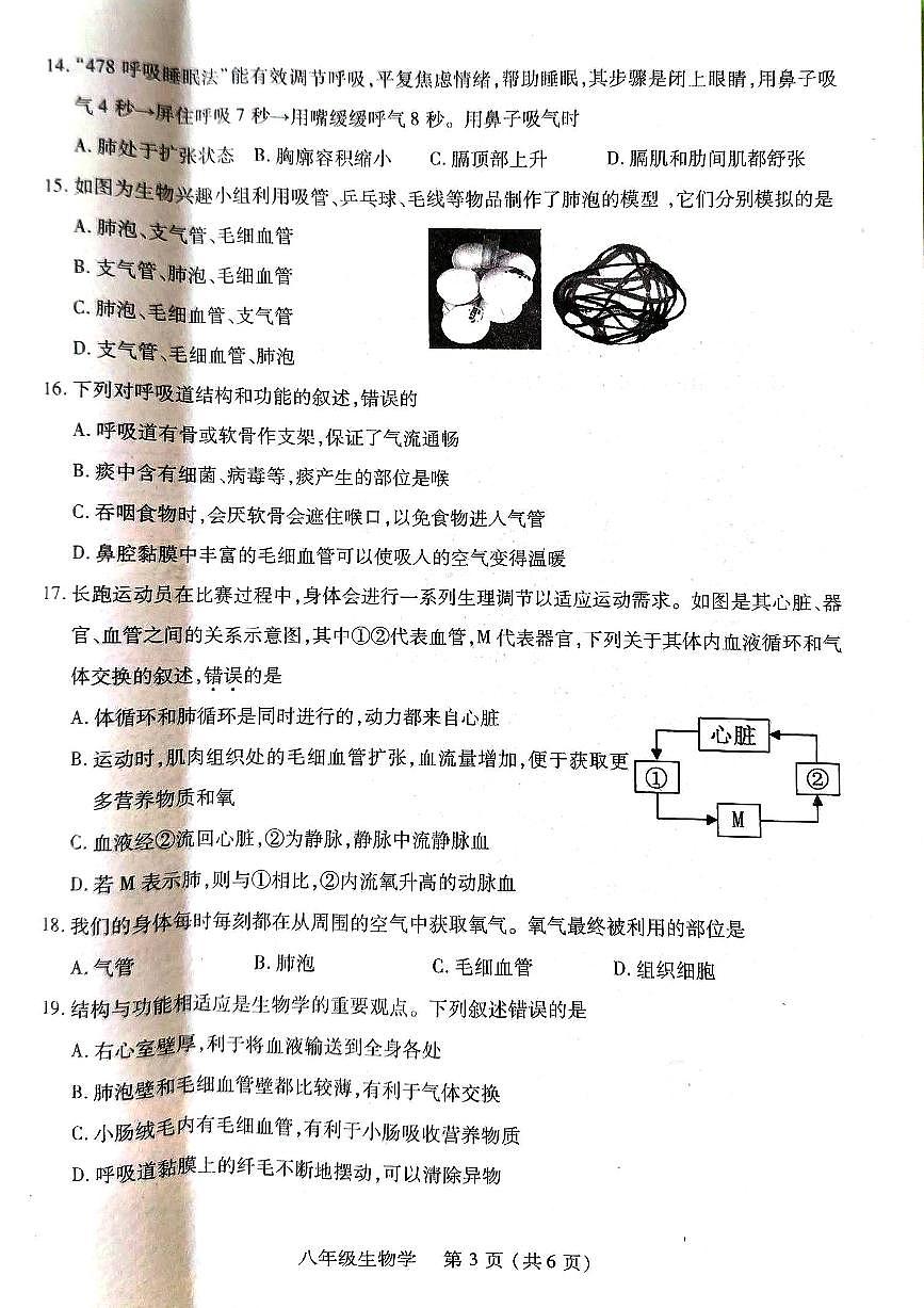 河南省洛阳市伊川县2025-2026学年八年级上学期11月期中生物试题第3页