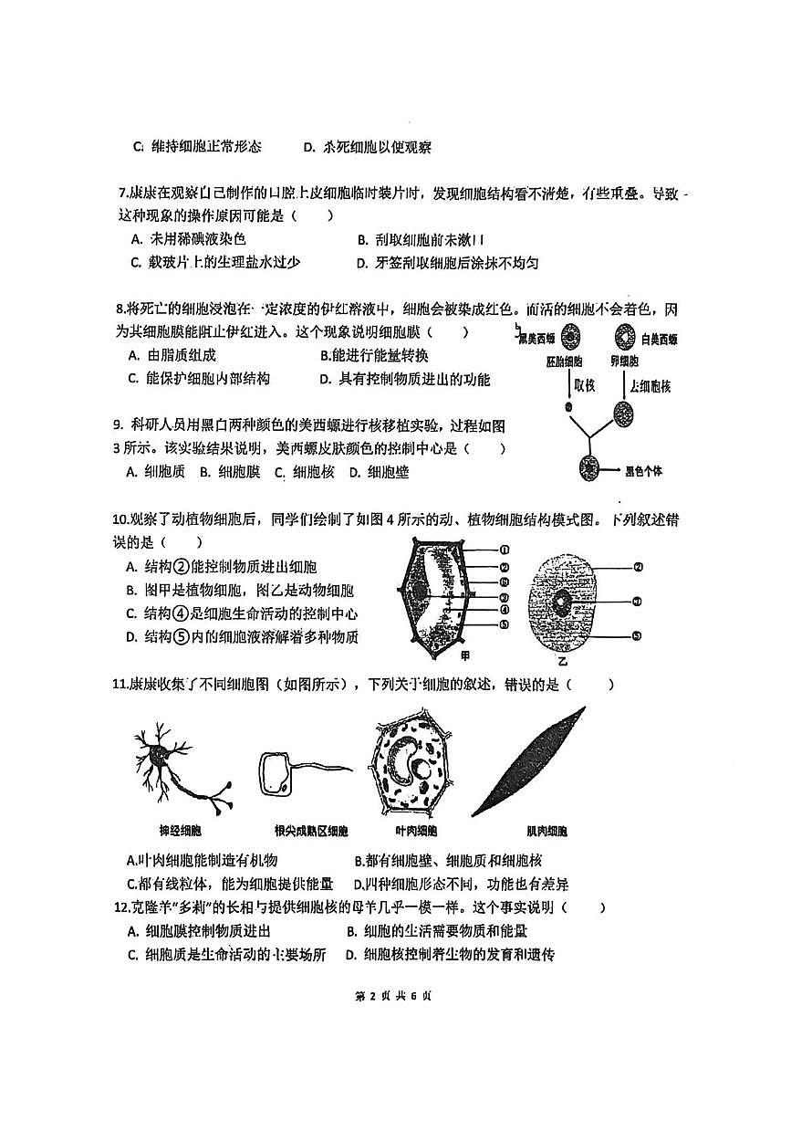 河南省郑州市郑州高新技术产业开发区三校联考2025-2026学年七年级上学期11月期中生物试题第2页