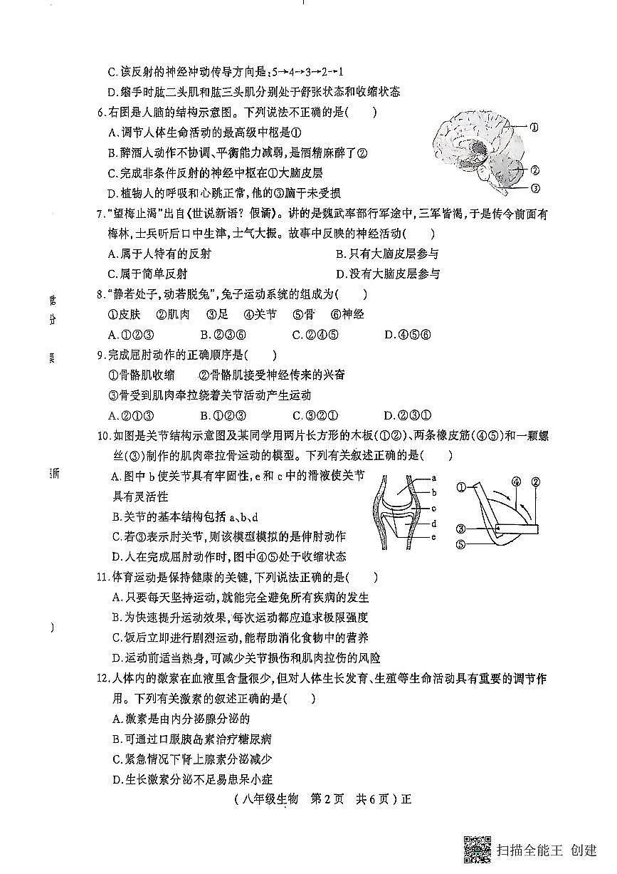 河南省驻马店市正阳县2025-2026学年八年级上学期11月期中生物试题第2页