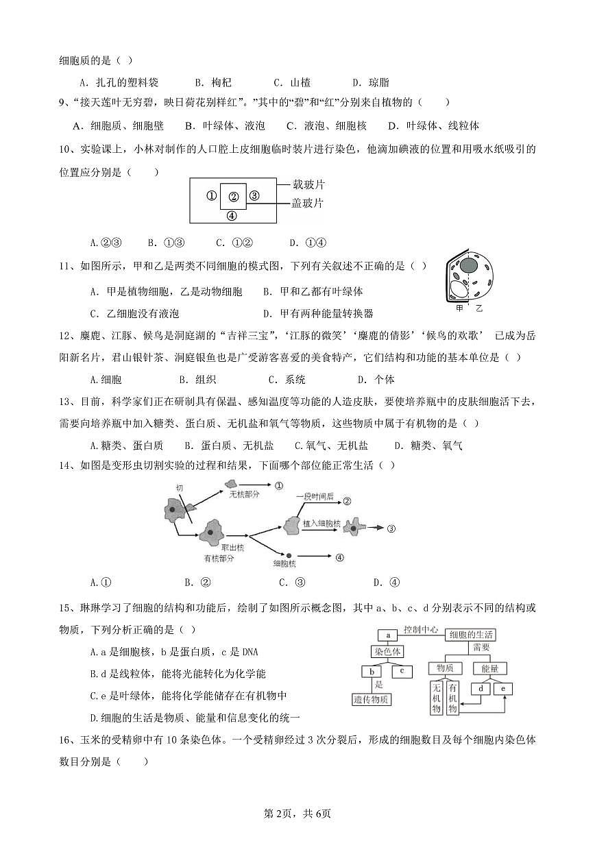 湖南省岳阳市岳阳楼区长岭中学2025-2026学年七年级上学期11月期中生物试题第2页