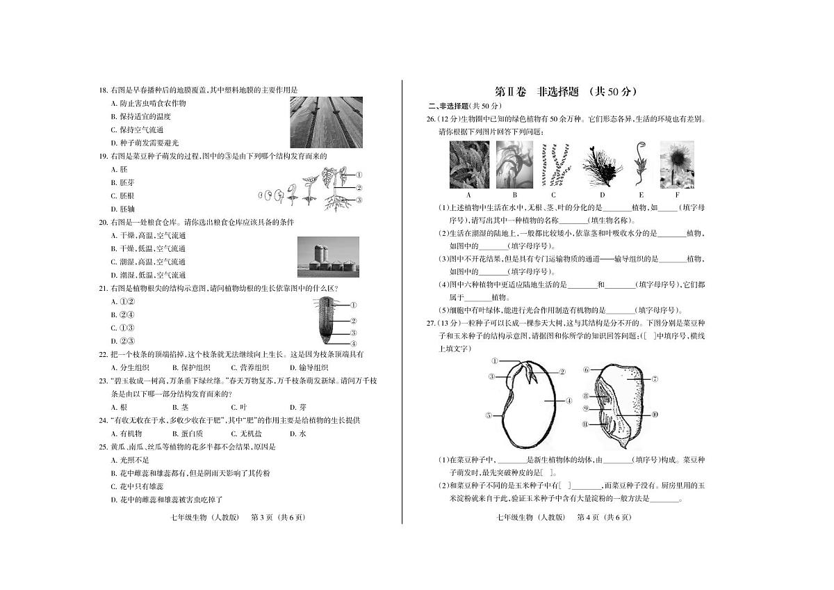 七年级 上册 12月考 生物试卷含答案（人教版） (1)第2页