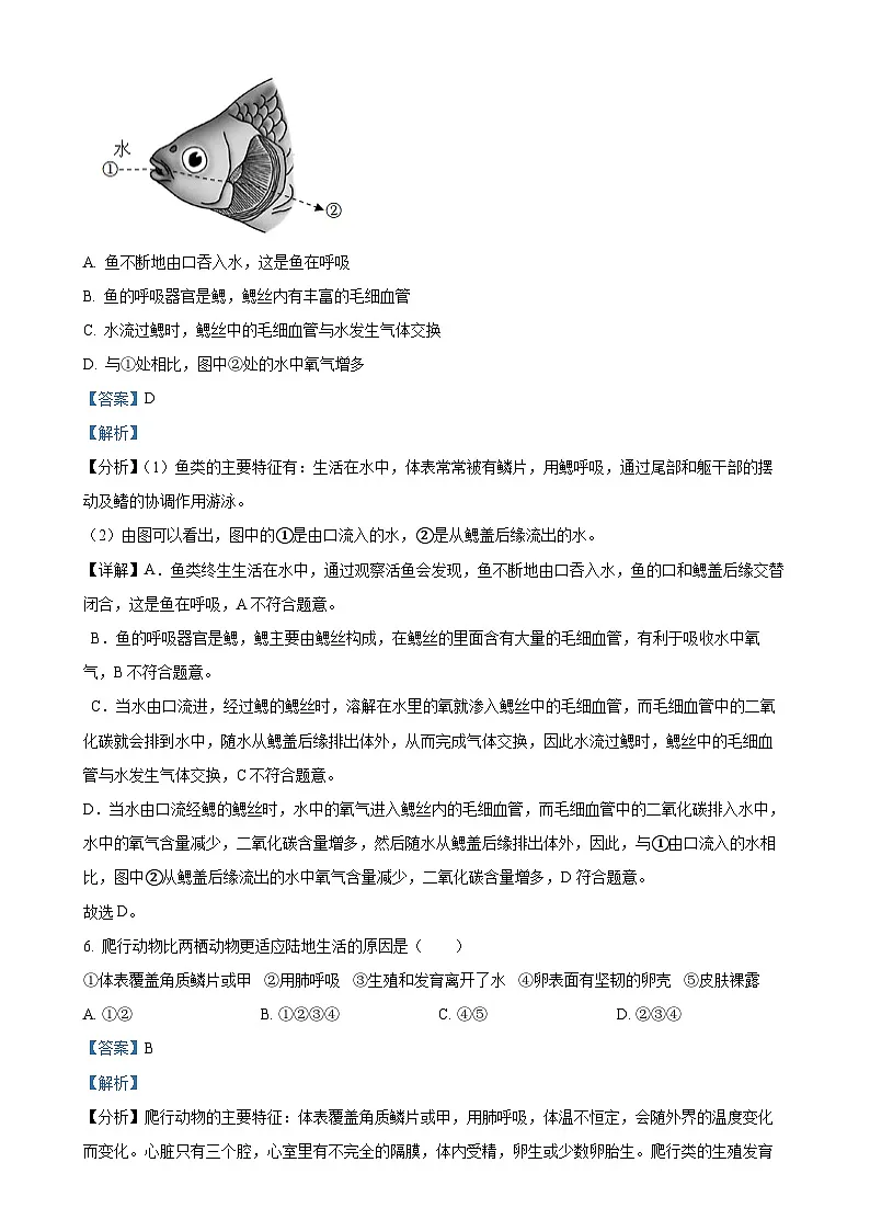 安徽省巢湖市八年级上学期期末生物试题（解析版）-A4第3页