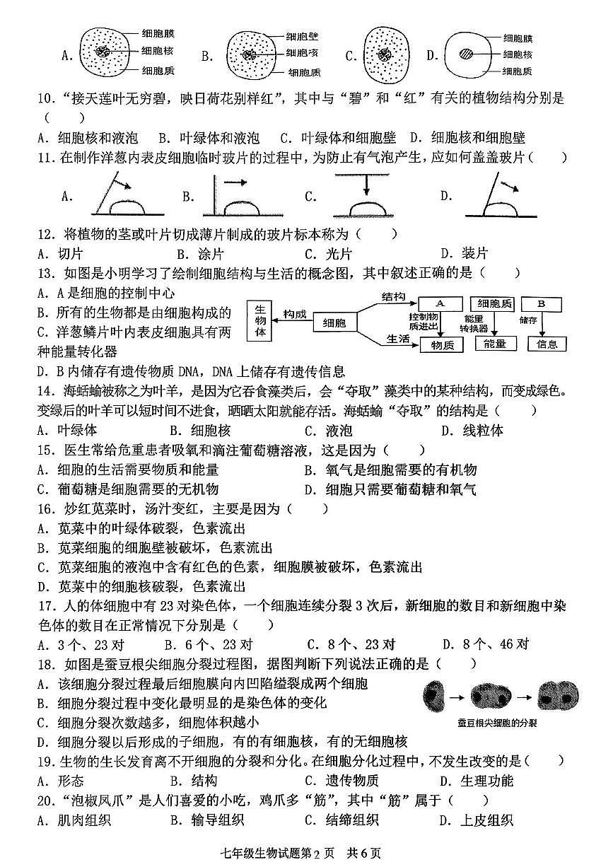 山东省临沂市罗庄区2025-2026学年七年级上学期11月期中生物试题第2页