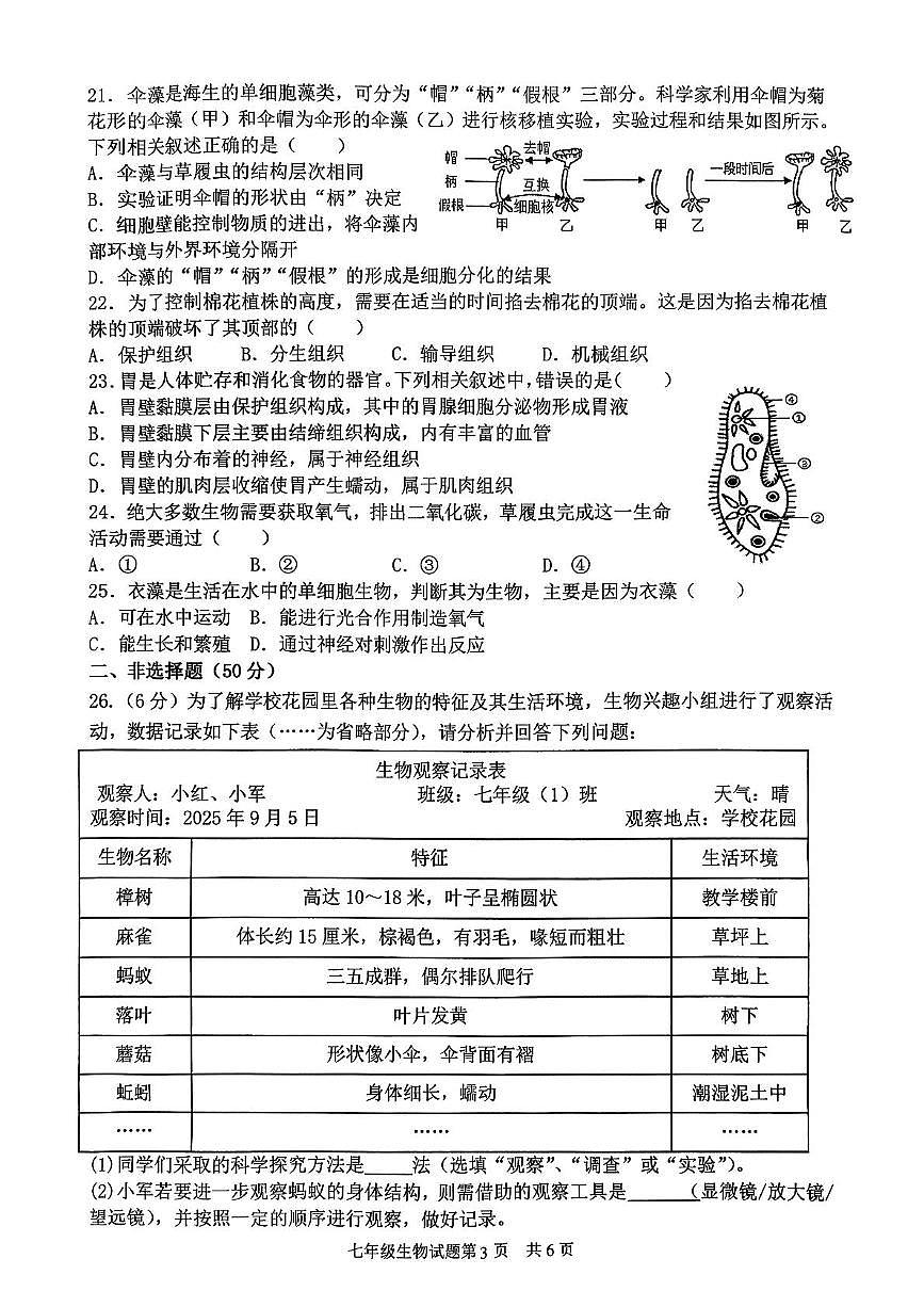 山东省临沂市罗庄区2025-2026学年七年级上学期11月期中生物试题第3页