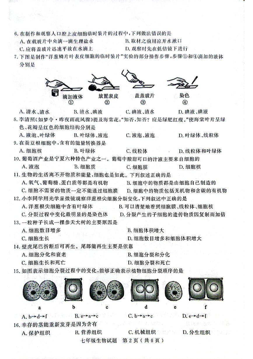 山东省聊城市冠县2025-2026学年七年级上学期期中学业水平测试生物试题第2页