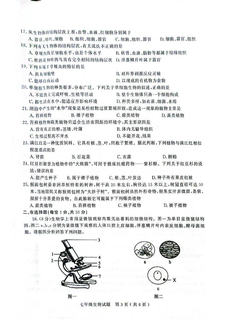 山东省聊城市冠县2025-2026学年七年级上学期期中学业水平测试生物试题第3页