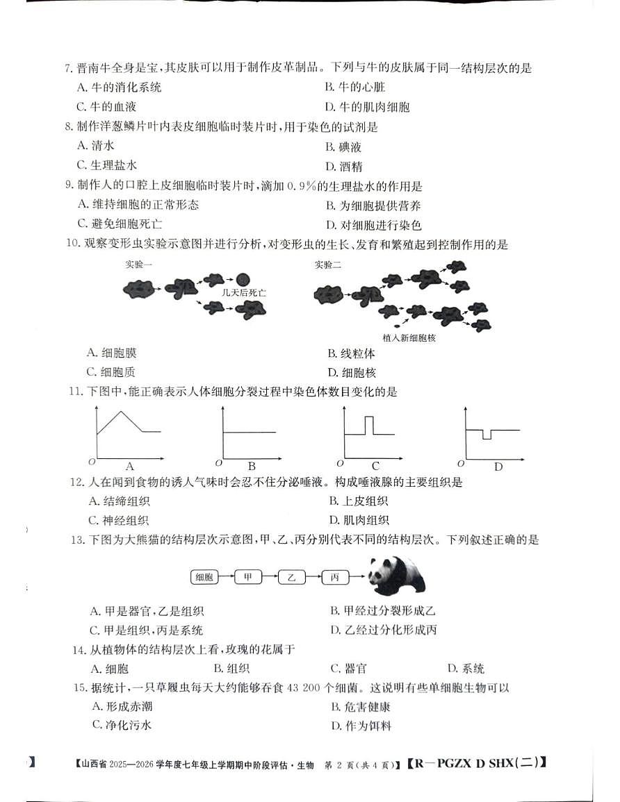 山西省朔州市部分学校2025-2026学年七年级上学期11月期中生物试题第2页