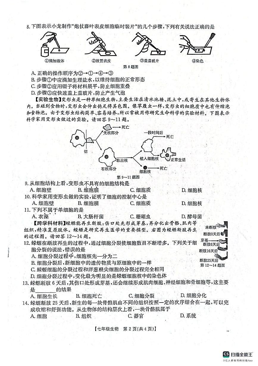 陕西省西安市高陵区2025-2026学年七年级上学期期中考试生物试题第2页
