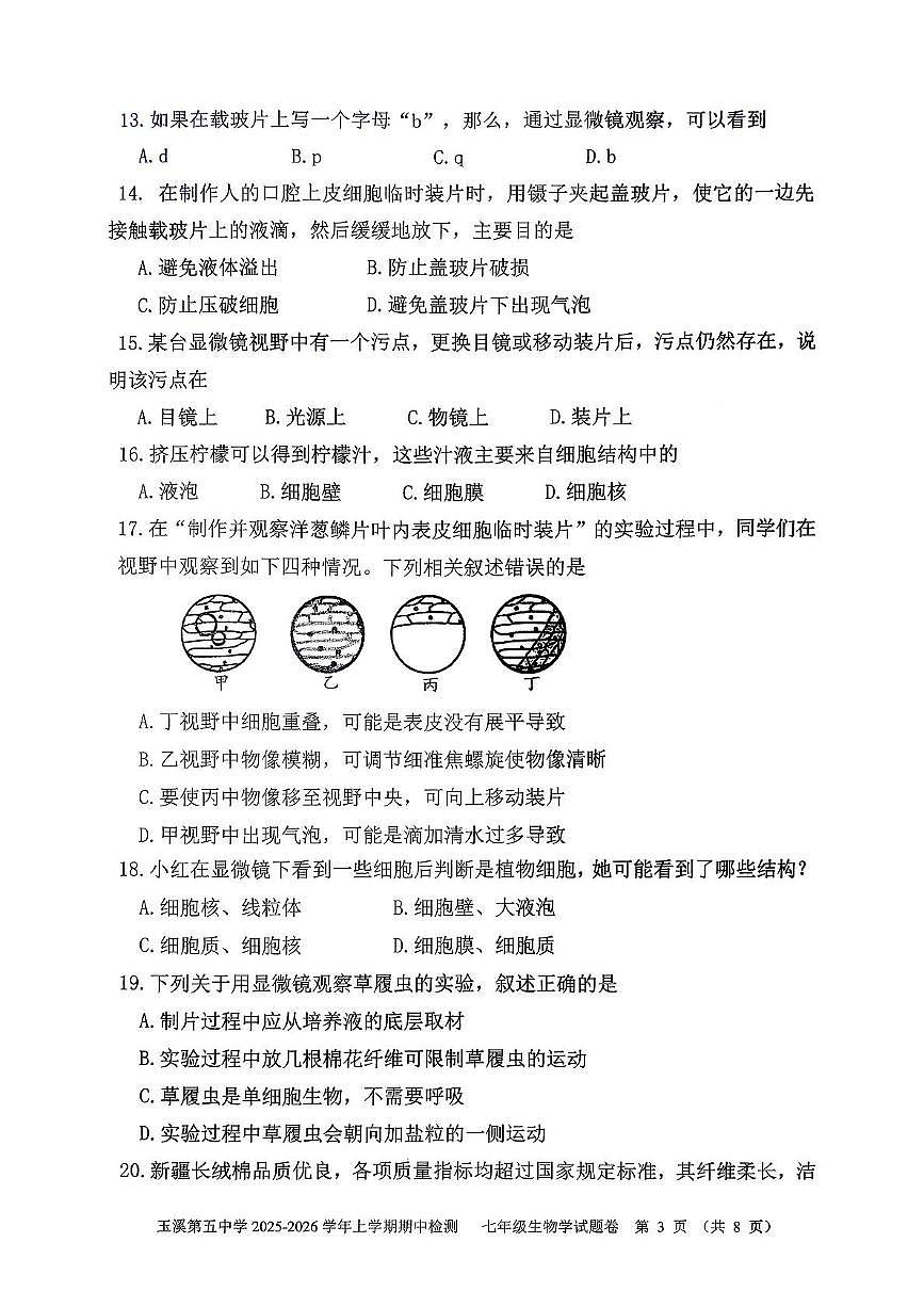 云南省玉溪第五中学2025-2026学年七年级上学期期中生物试题第3页