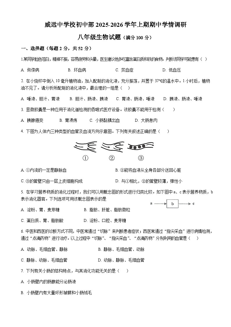 四川省内江市威远中学校2025-2026学年八年级上学期期中考试生物试题 （含答案）第1页
