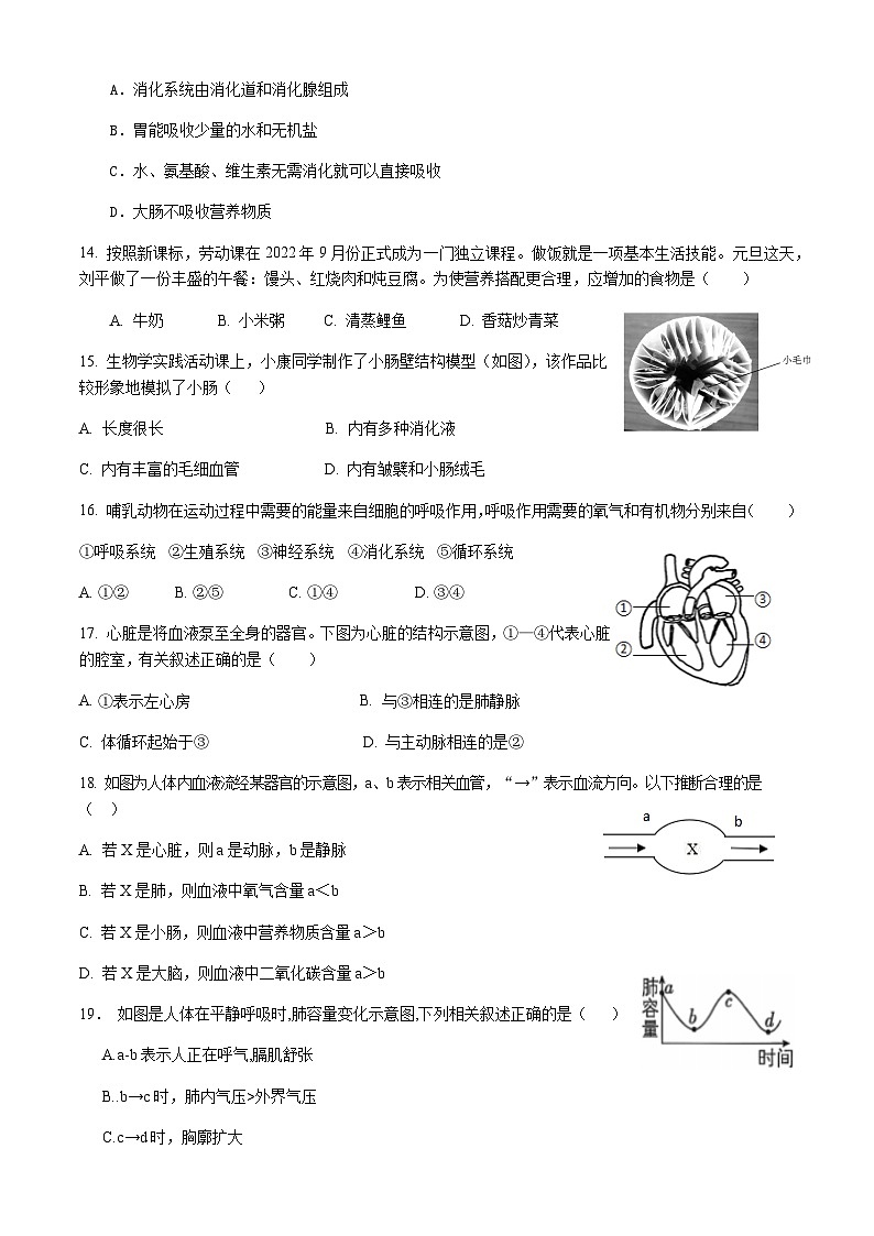 四川省内江市威远中学校2025-2026学年八年级上学期期中考试生物试题 （含答案）第3页