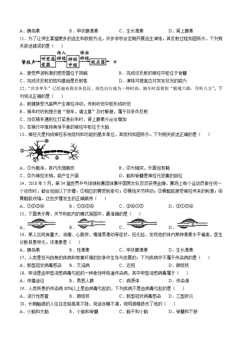 四川省乐山市第五中学2025-2026学年八年级上学期期中生物学试题第2页