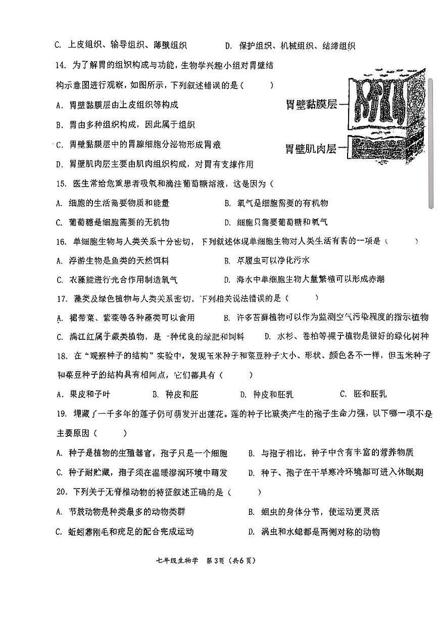 吉林省长春市二道区东北师范大学附属实验学校（经开）2025-2026学年七年级上学期11月期中生物试题第3页