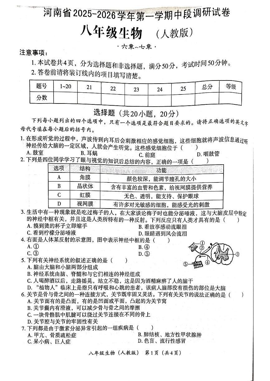 河南省郑州市新郑市2025-2026学年八年级上学期11月期中生物试题第1页