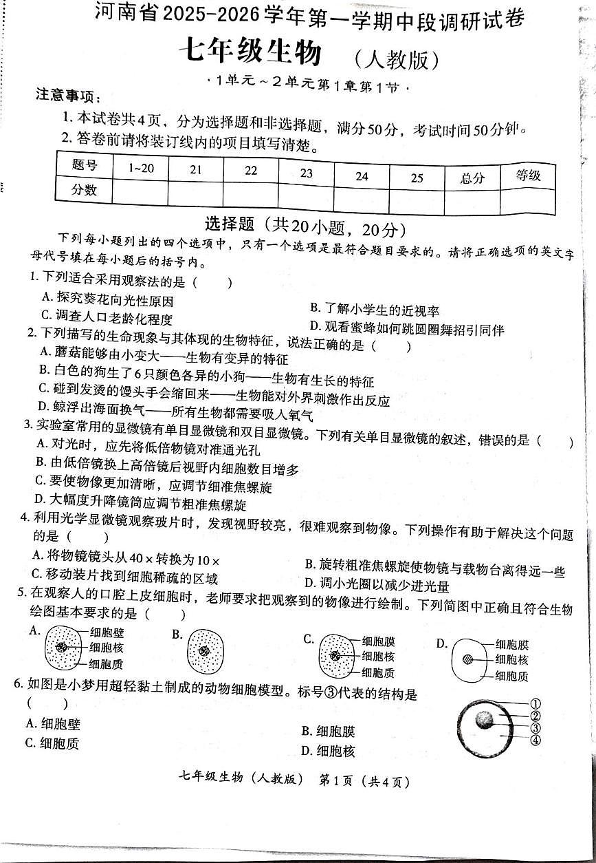 河南省郑州市新郑市2025-2026学年七年级上学期11月期中生物试题第1页