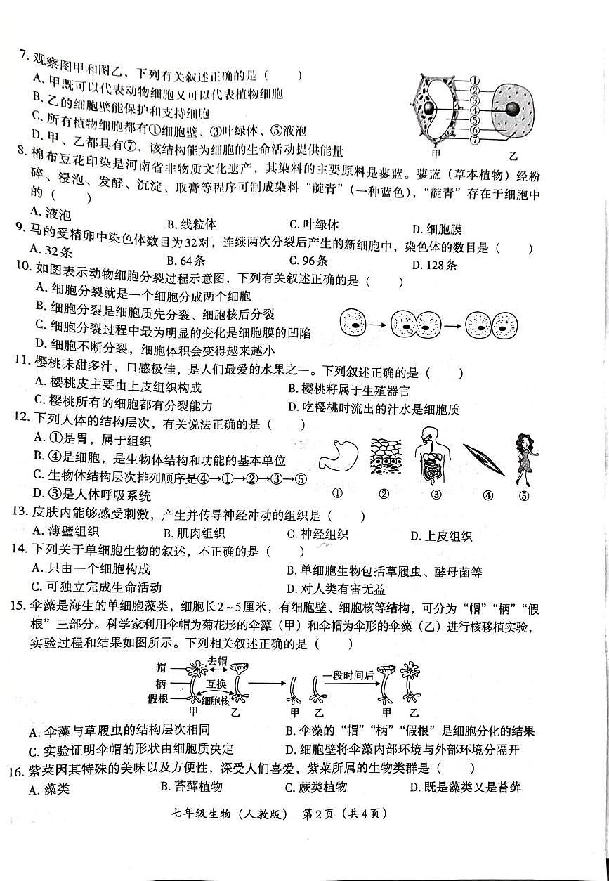 河南省郑州市新郑市2025-2026学年七年级上学期11月期中生物试题第2页