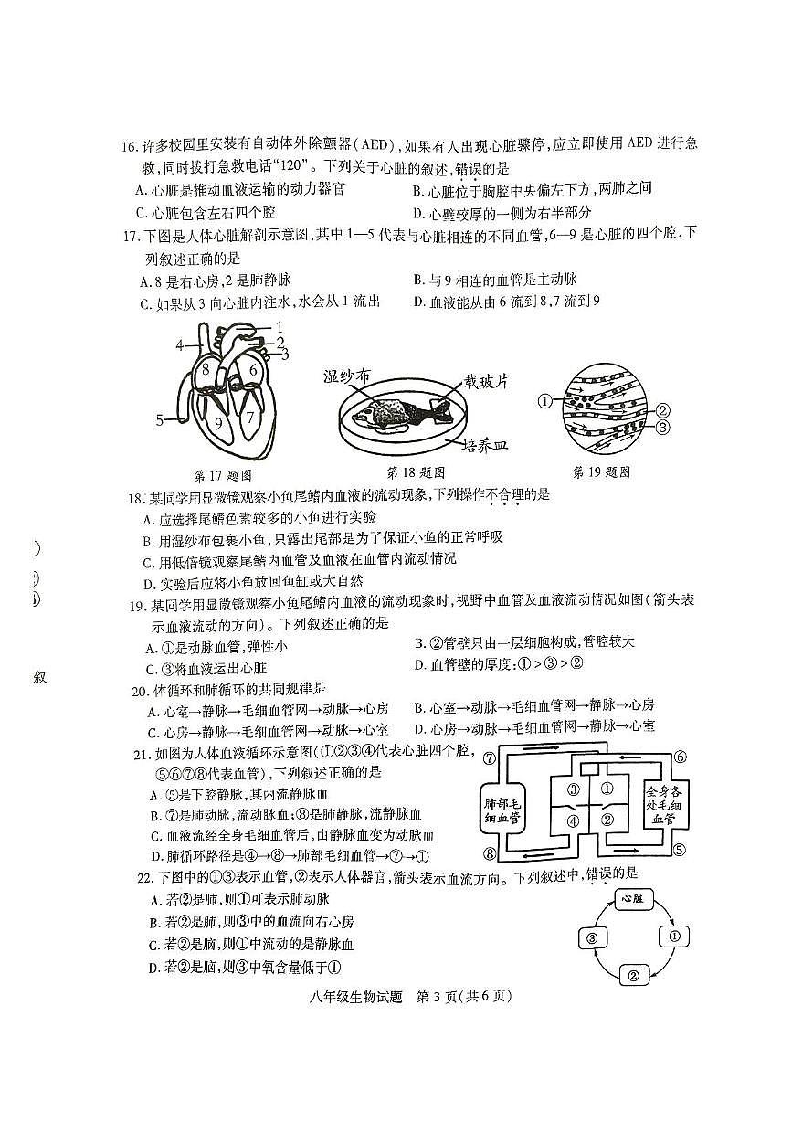 江苏省徐州市沛县汉源中学联盟学区2025-2026学年八年级上学期11月期中生物试题第3页