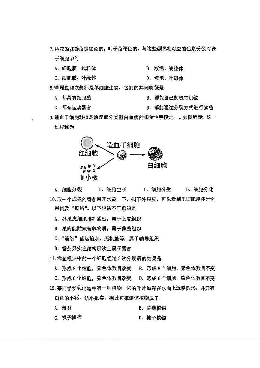 辽宁省沈阳市铁西区2025-2026学年七年级上学期11月期中考试生物试题第2页