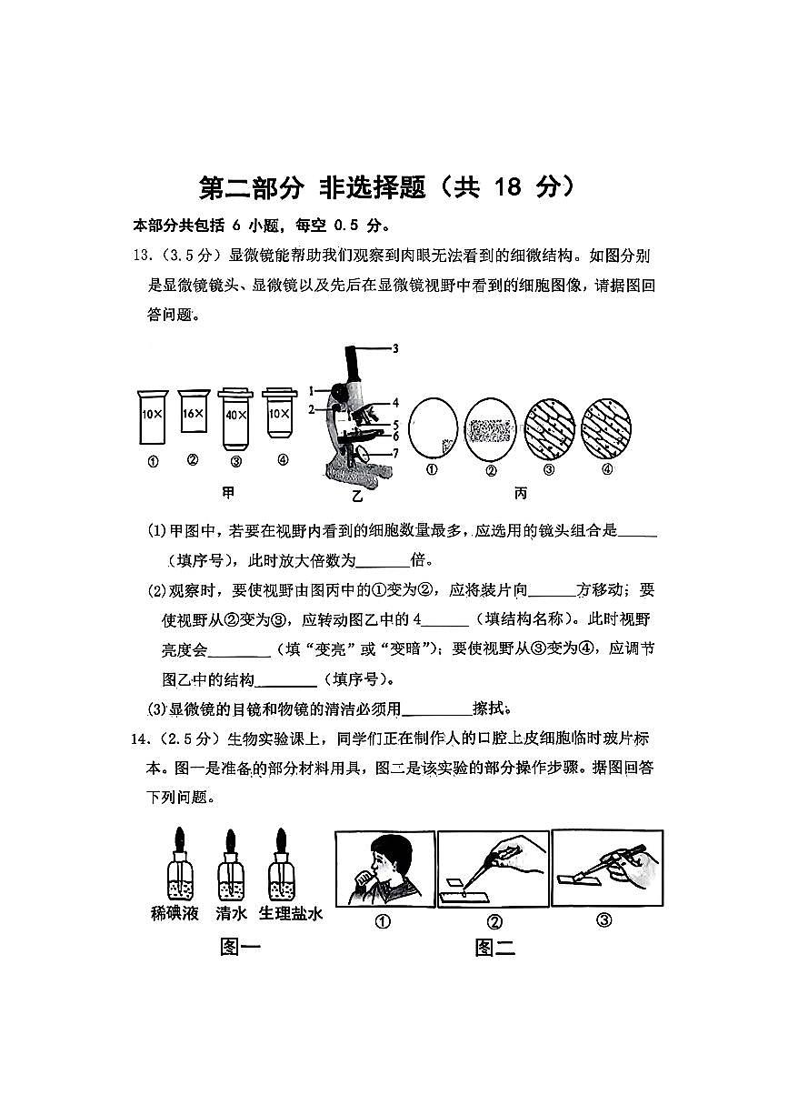 辽宁省沈阳市铁西区2025-2026学年七年级上学期11月期中考试生物试题第3页