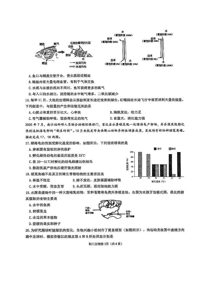 鲁科版五四制烟台市莱山区2025-2026学年九年级上学期期中生物试题第3页