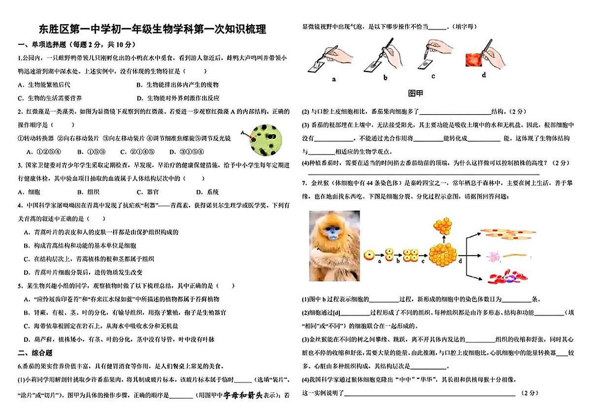 内蒙古鄂尔多斯市东胜区第一中学2025-2026学年七年级上学期期中考试生物试题第1页