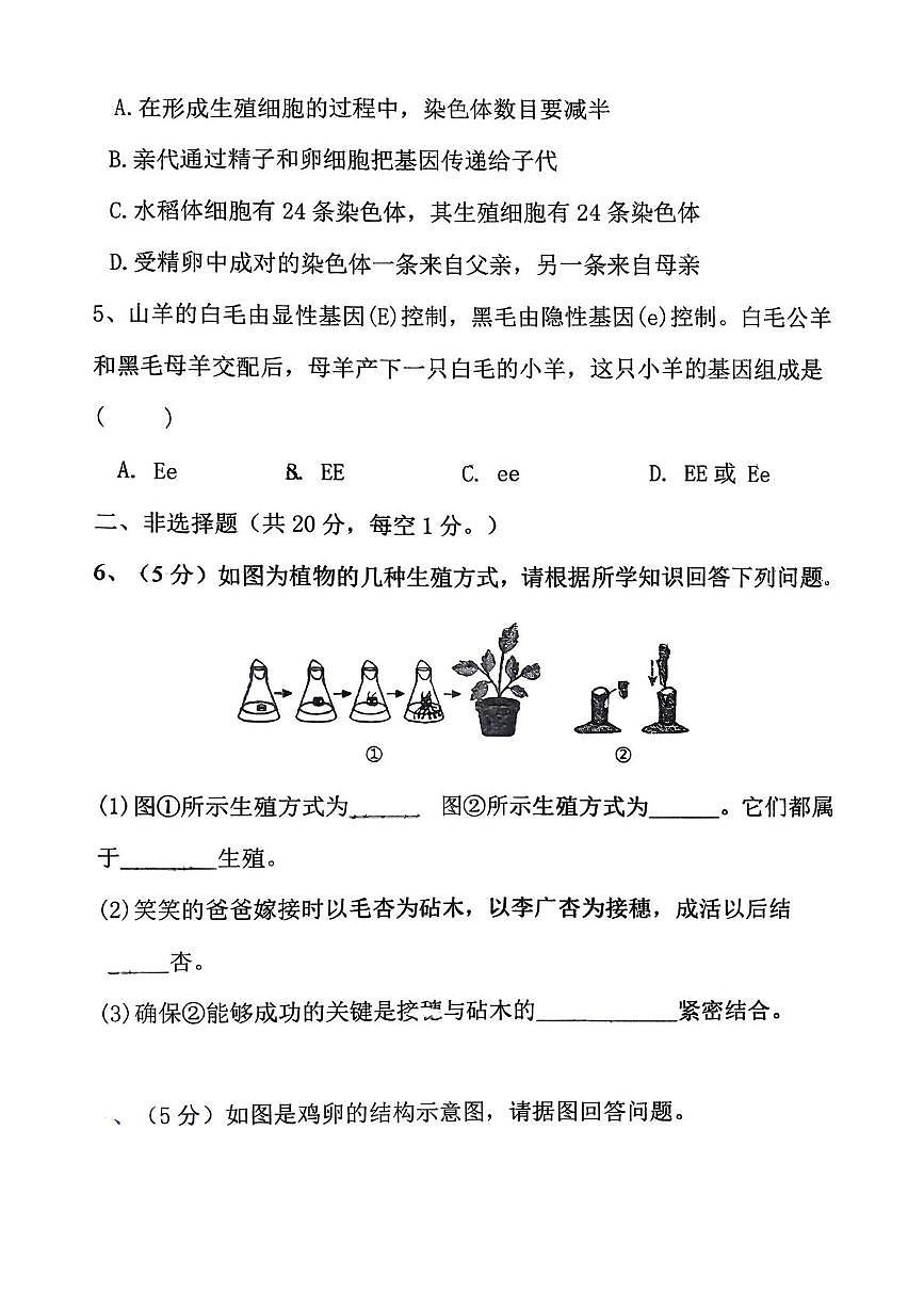 内蒙古丰镇市丰华中学2025-2026学年八年级上学期期中考试生物试题第2页