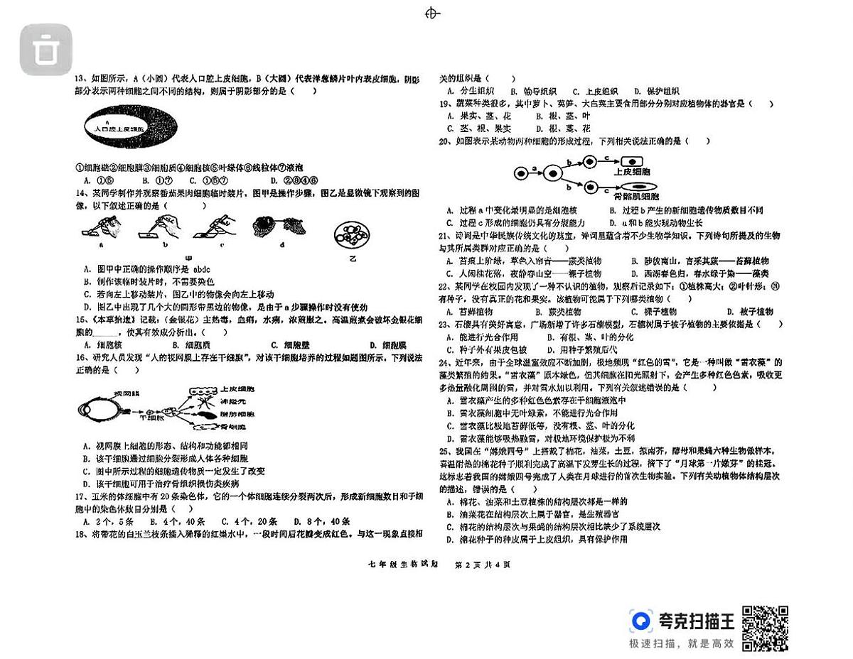 山东省德州市德城区五校联考2025-2026学年七年级上学期期中生物试题第2页