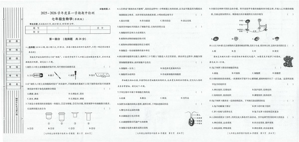 陕西省汉中市勉县2025-2026学年七年级上学期11月期中生物试题第1页