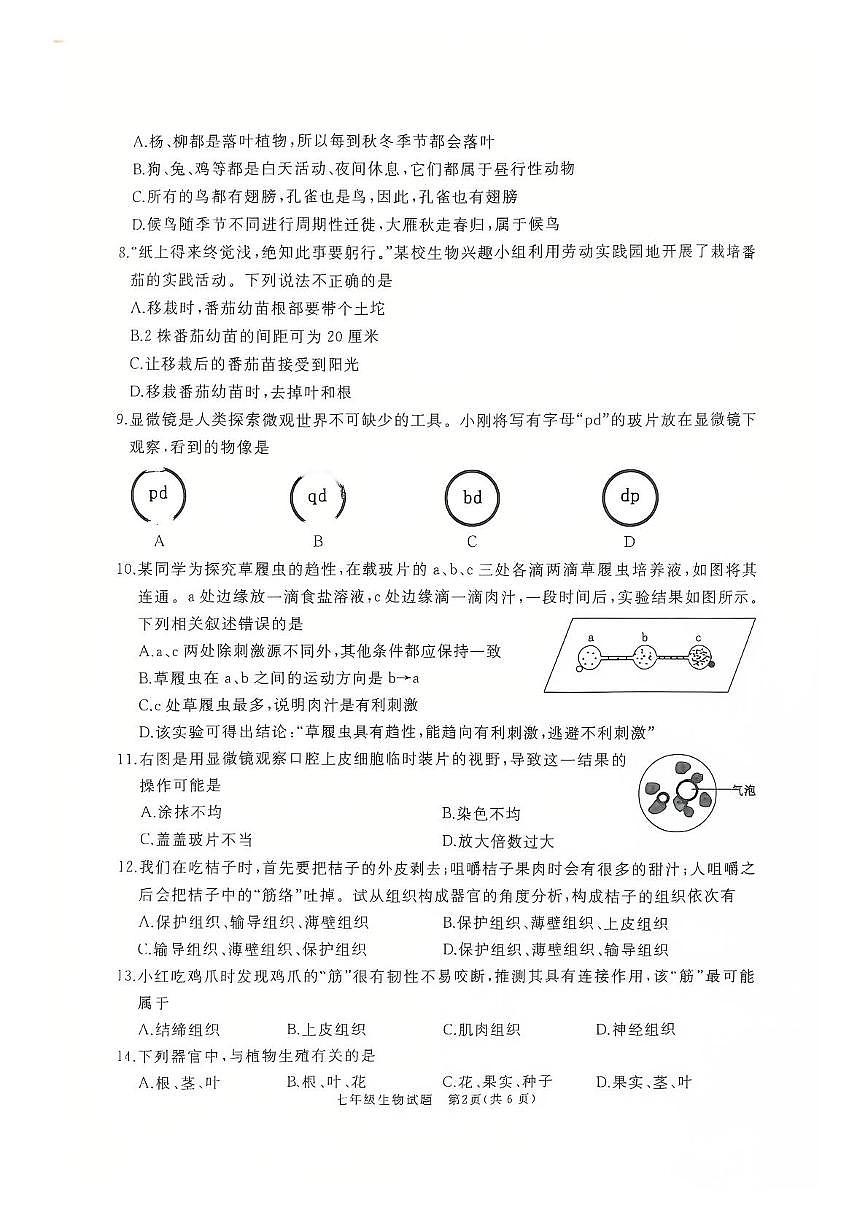 山东省滕州市2025-2026学年七年级上学期期中考试生物试题第2页