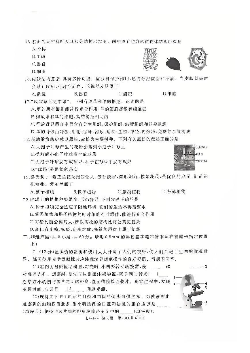山东省滕州市2025-2026学年七年级上学期期中考试生物试题第3页