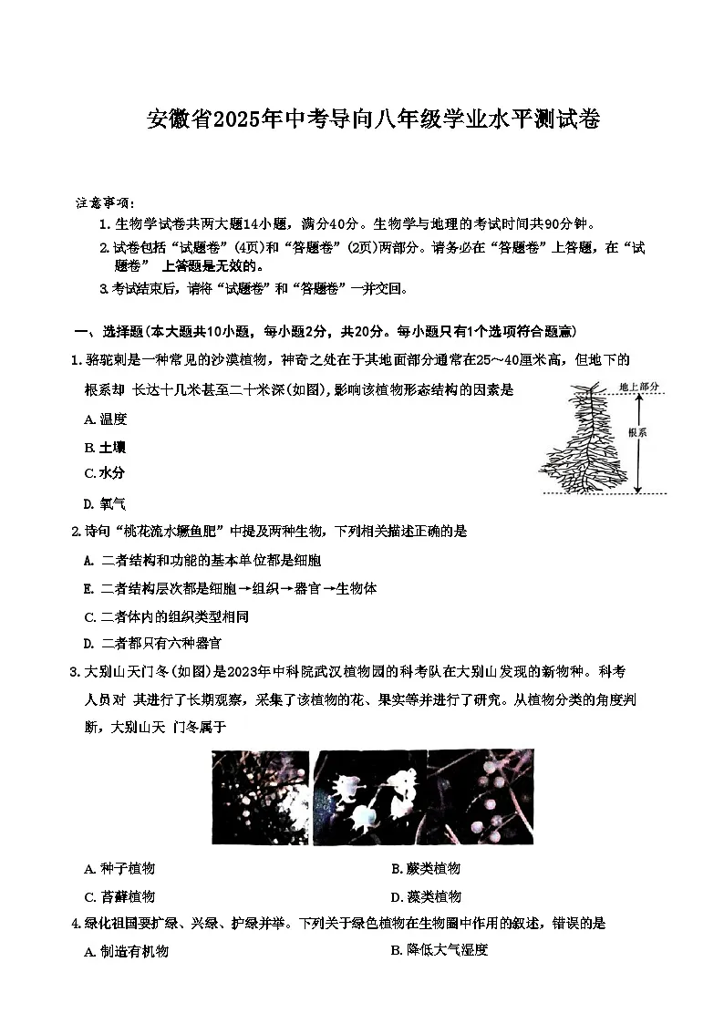 2025年安徽省中考导向八年级学业水平测试生物试卷-A4第1页