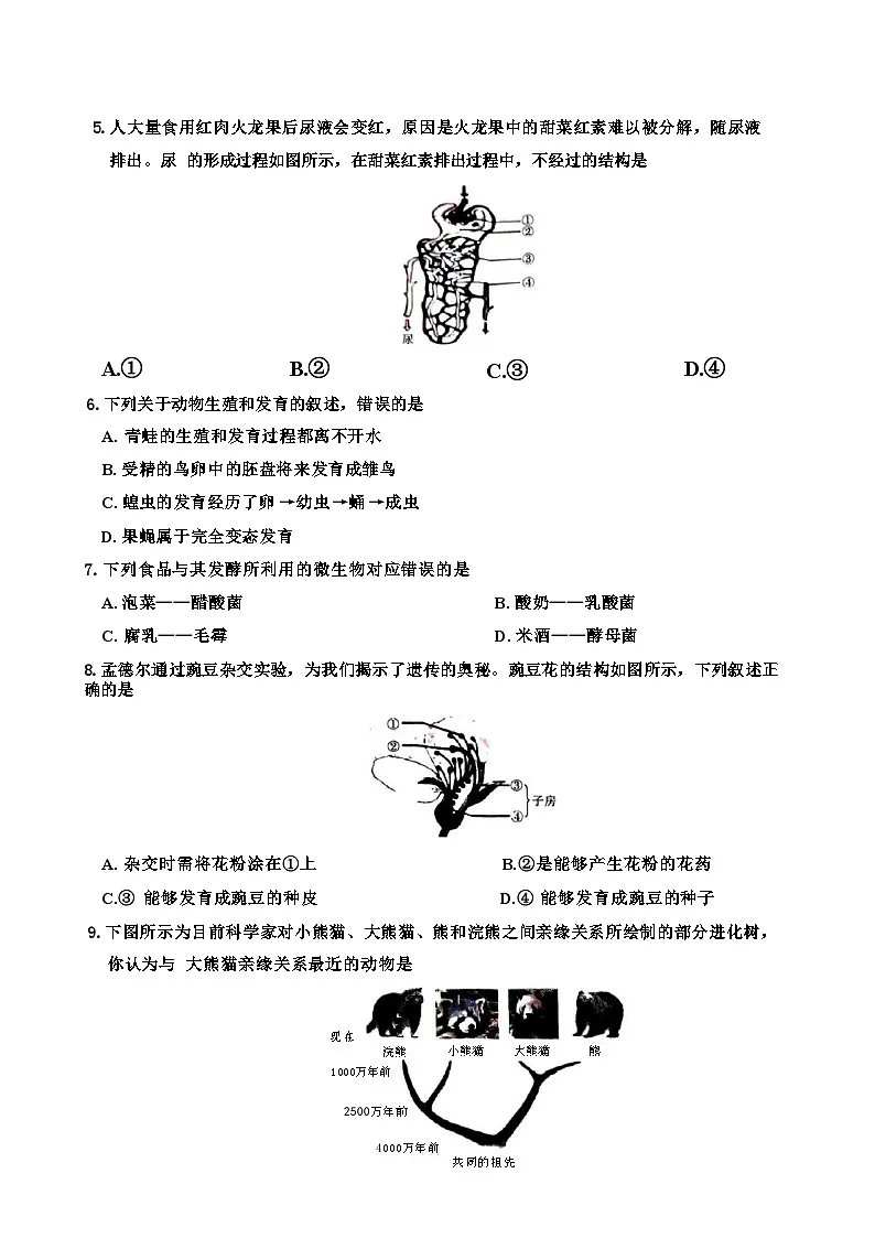 2025年安徽省中考导向八年级学业水平测试生物试卷-A4第3页