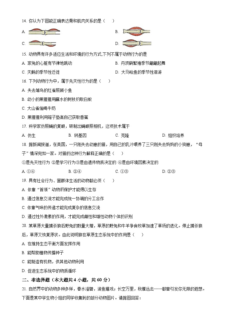 安徽省安庆市怀宁县2八年级上学期期中生物学试题（原卷版）-A4第3页