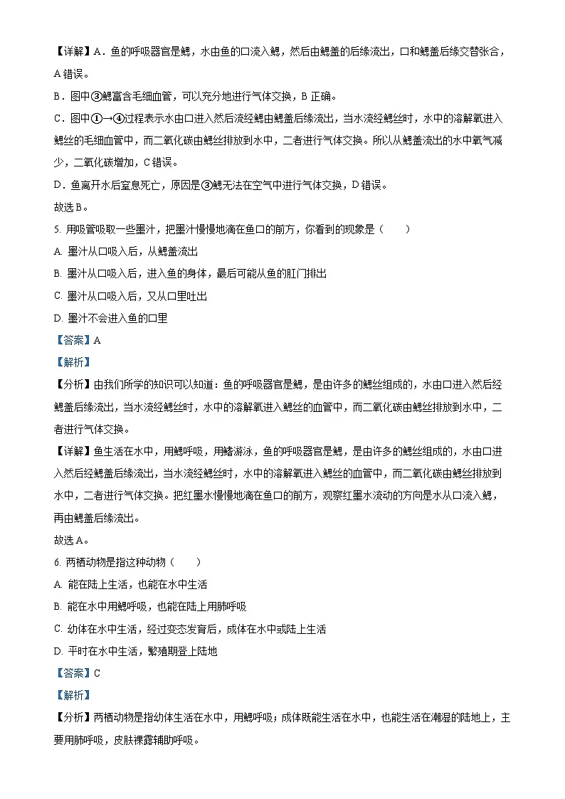 安徽省安庆市潜山市2八年级上学期期末生物试题（解析版）-A4第3页