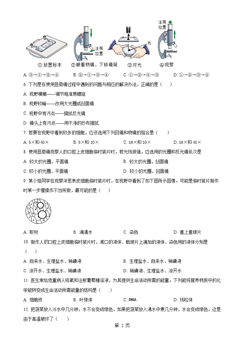 安徽省安庆市怀宁县2024—2025学年七年级上学期期中生物试题（原卷版）-A4第2页