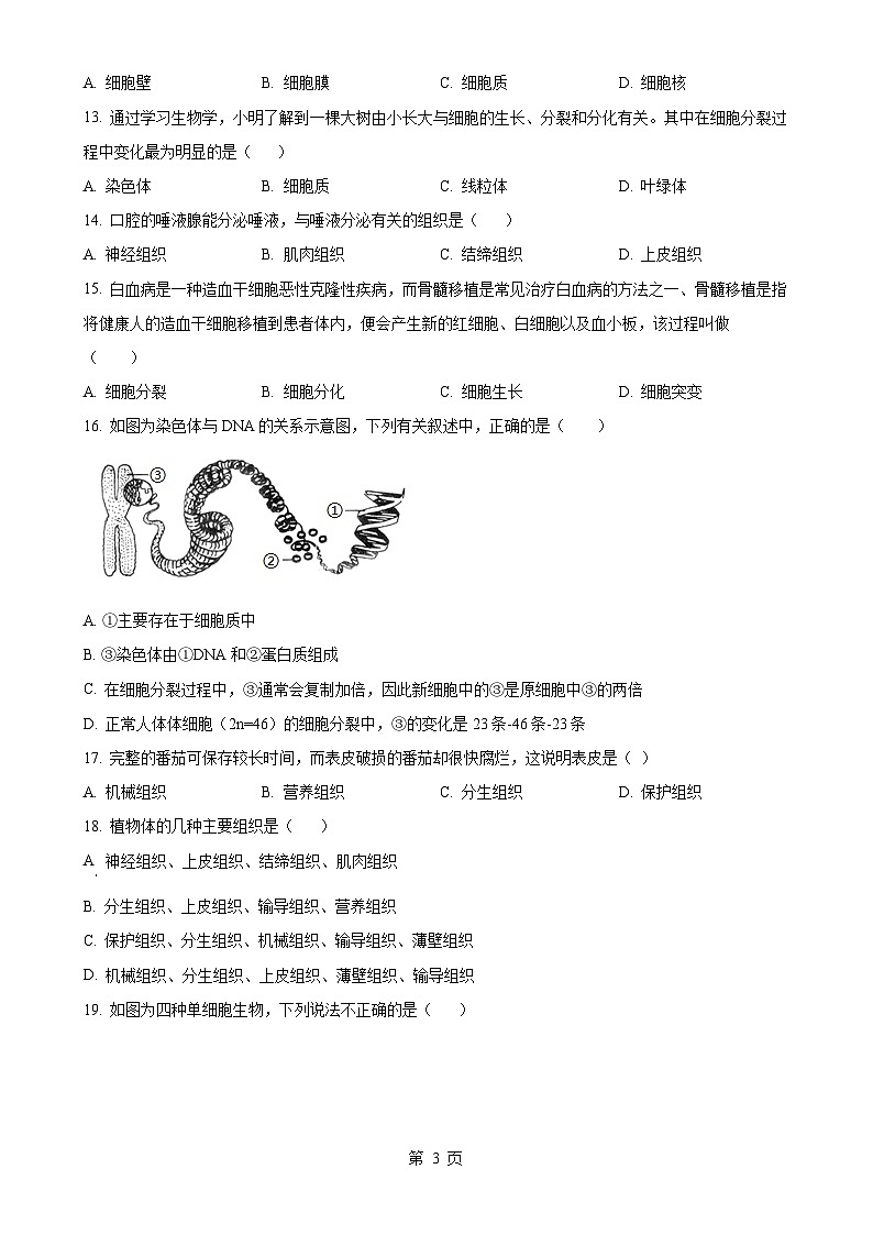 安徽省安庆市怀宁县2024—2025学年七年级上学期期中生物试题（原卷版）-A4第3页