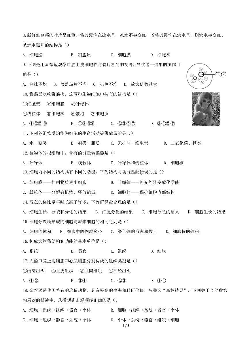 2025北京东直门中学初一（上）期中生物试卷第2页