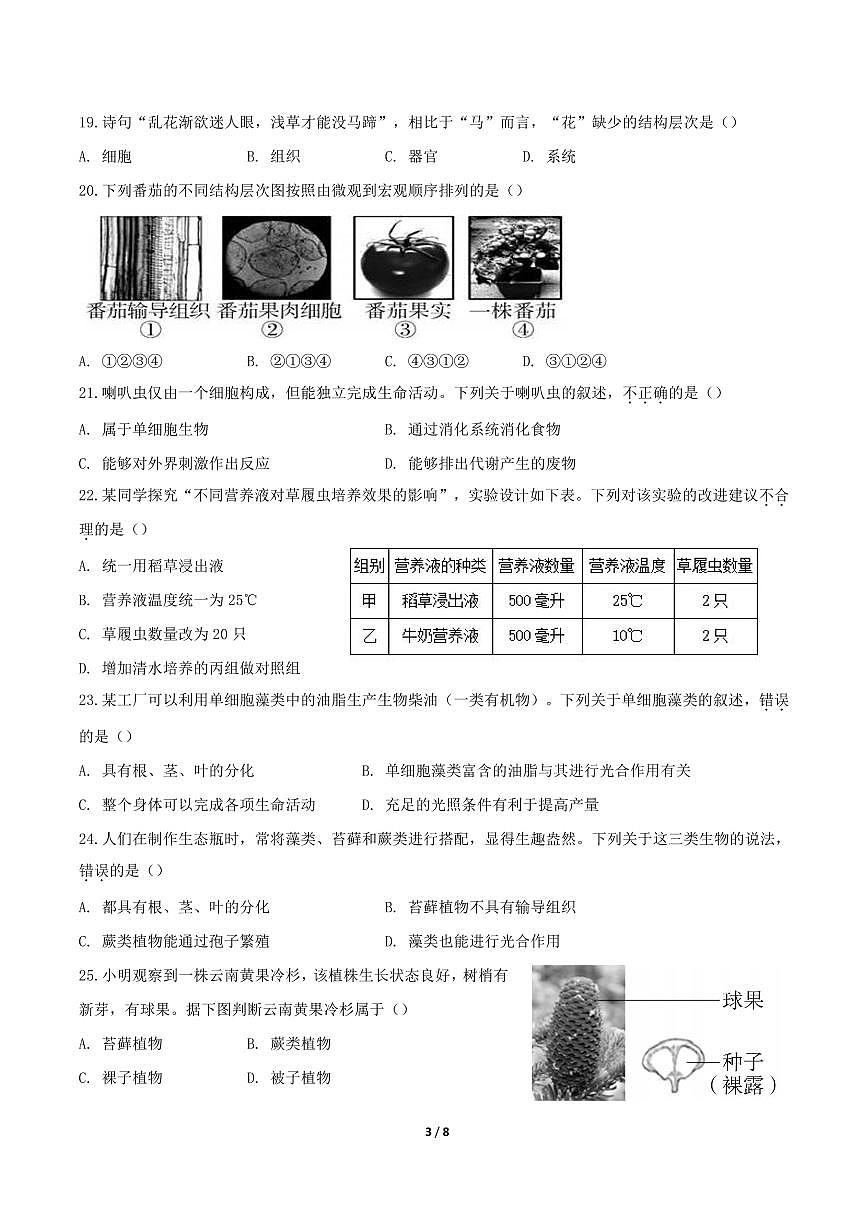 2025北京东直门中学初一（上）期中生物试卷第3页