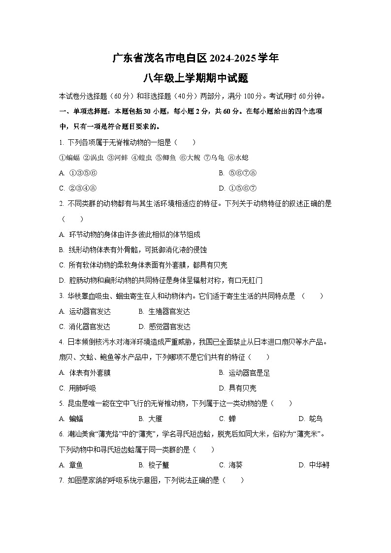 广东省茂名市电白区2024-2025学年八年级上学期期中生物试卷（学生版）第1页