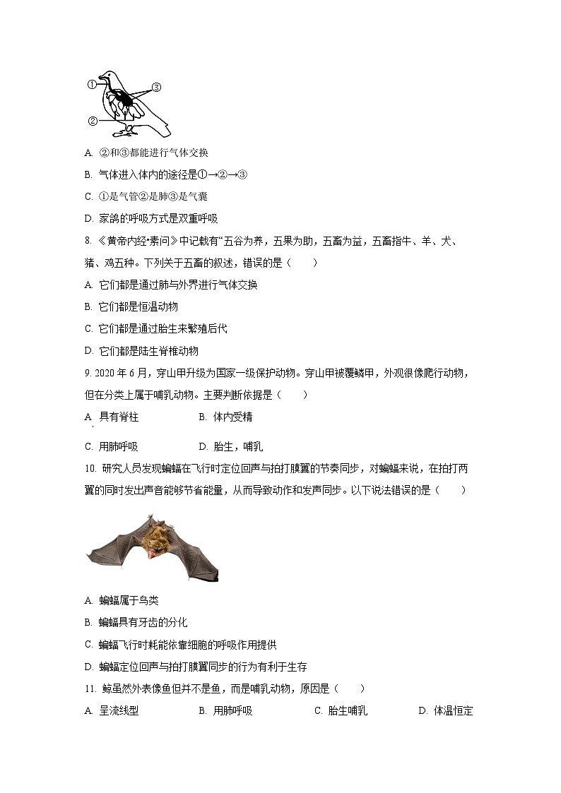 广东省茂名市电白区2024-2025学年八年级上学期期中生物试卷（学生版）第2页