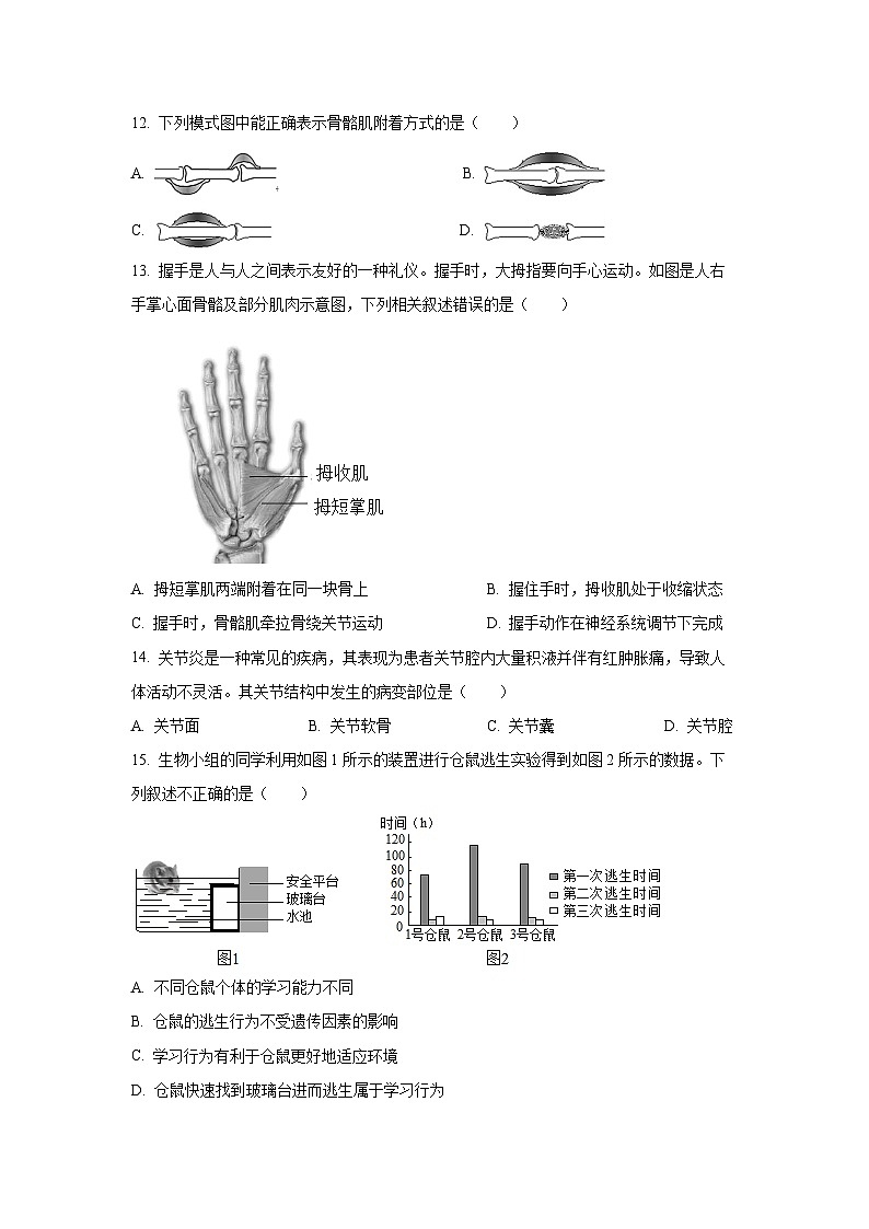 广东省茂名市电白区2024-2025学年八年级上学期期中生物试卷（学生版）第3页