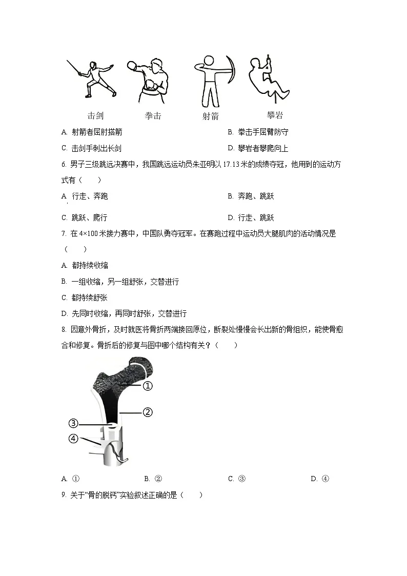 广东省揭阳市榕城区2024-2025学年八年级上学期期中生物试卷（学生版）第2页